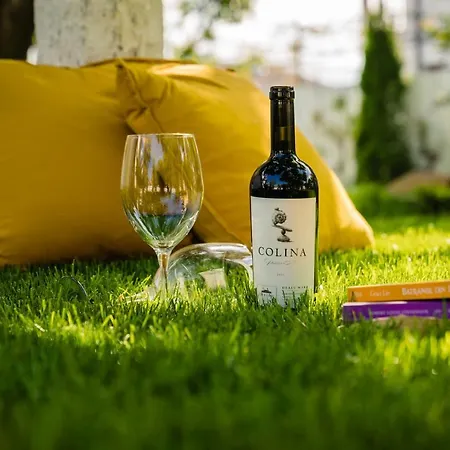 Nb Boutique 招待所