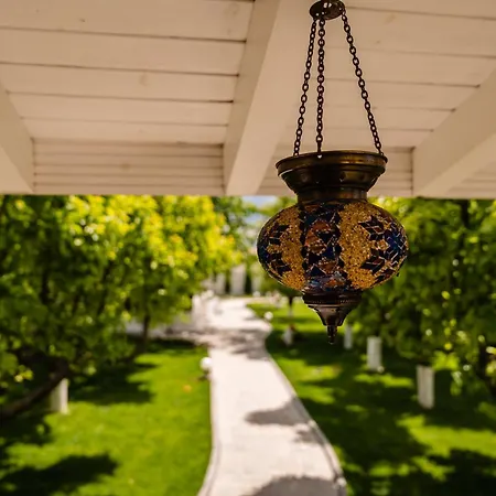 Nb Boutique 招待所