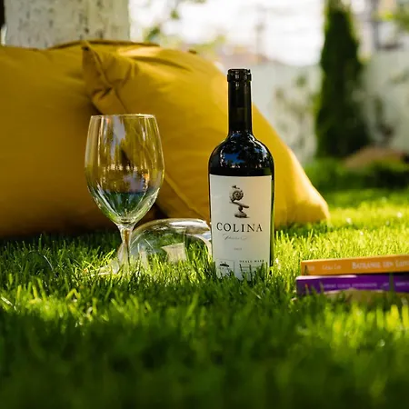 Nb Boutique 3* 图兹拉