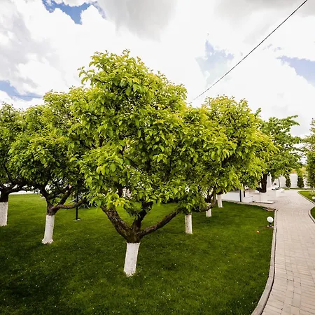 Nb Boutique 3* 图兹拉