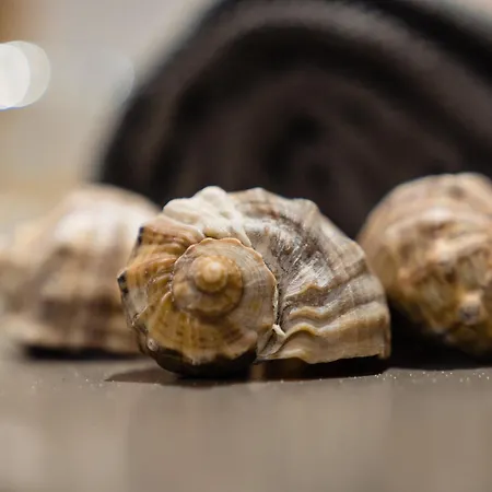 Nb Boutique 图兹拉