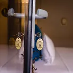 Nb Boutique Tuzla